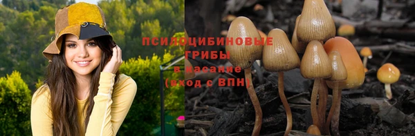 PSILOCYBIN Козельск