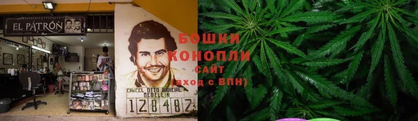 PSILOCYBIN Козельск