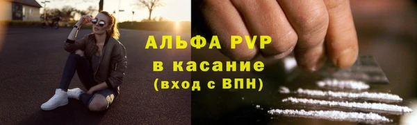 PSILOCYBIN Козельск