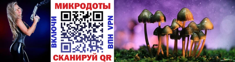 Купить где  Темрюк  Псилоцибиновые грибы Psilocybe 